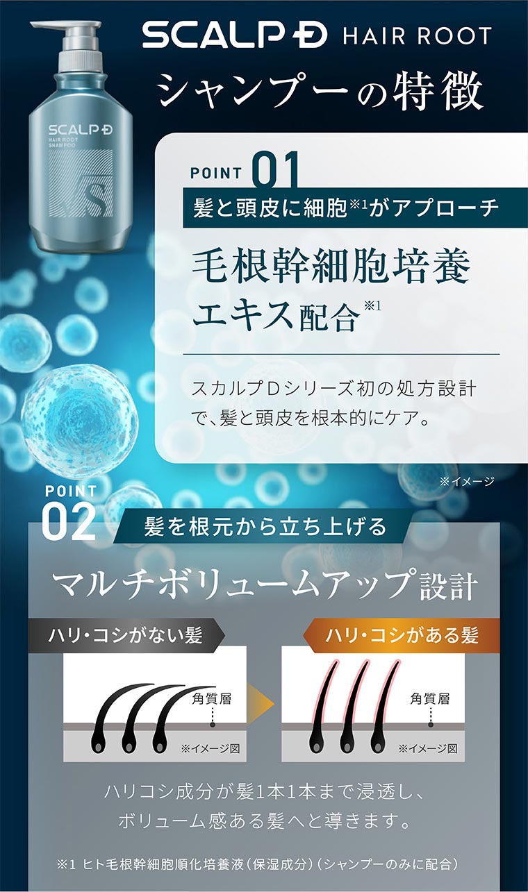 スカルプD HAIR ROOT シャンプーの特徴。POINT 01。髪と頭皮に細胞がアプローチ。毛根幹細胞培養エキス配合。スカルプDシリーズ初の処方設計で、髪と頭皮を根本的にケア。POINT 02。髪を根元から立ち上げるマルチボリュームアップ設計。イメージ(本画像をご確認ください)。ハリコシ成分が髪1本1本まで浸透し、ボリューム感ある髪へと導きます。注釈(詳細は本画像をご確認ください)。