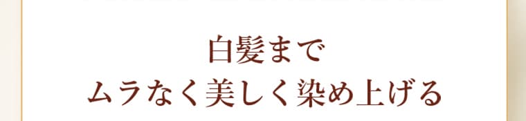 白髪までムラなく美しく染め上げる