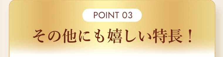POINT 03 その他にも嬉しい特長！