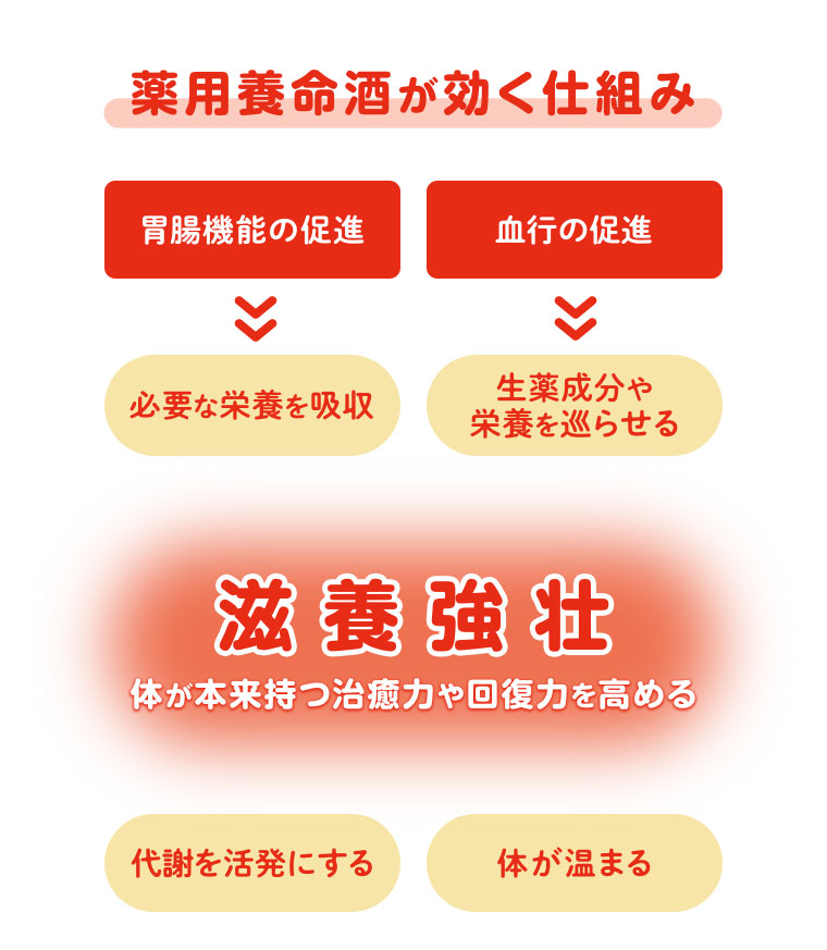 薬用養命酒が効く仕組み。胃腸機能の促進。血行の促進。必要な栄養を吸収。生薬成分や栄養を巡らせる。滋養強壮。体が本来持つ治癒力や回復力を高める。代謝を活発にする。体が温まる。