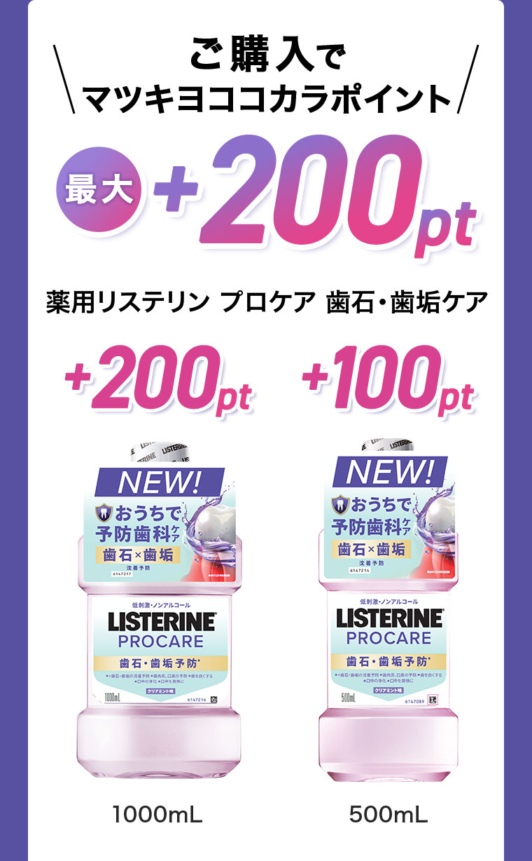 詳細は本画像をご確認ください。