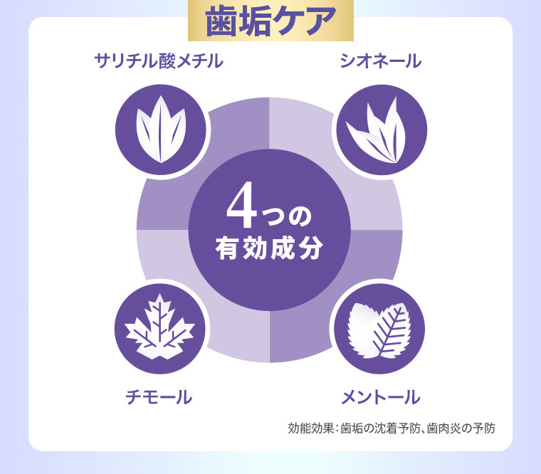 歯垢ケア。4つの有効成分。シオネール、メントール、チモール、サリチル酸メチル。効能効果、歯垢の沈着予防、歯肉炎の予防。
