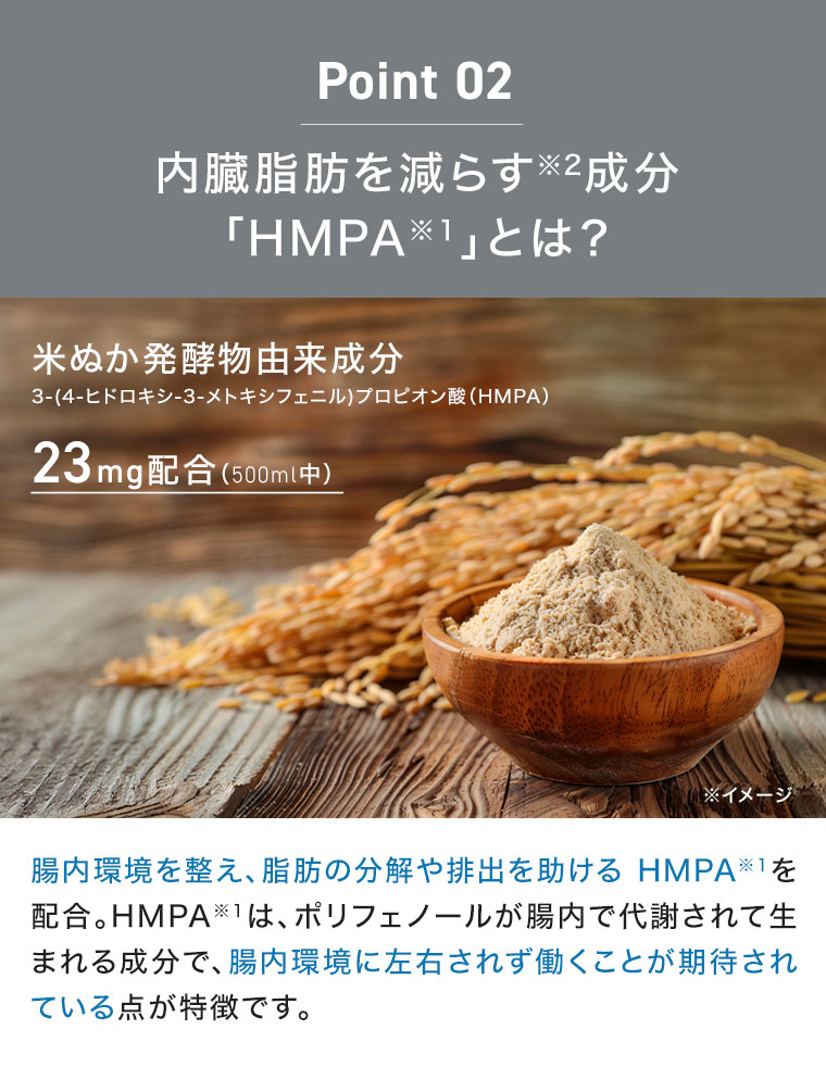 内臓脂肪を減らす成分「HMPA」とは？