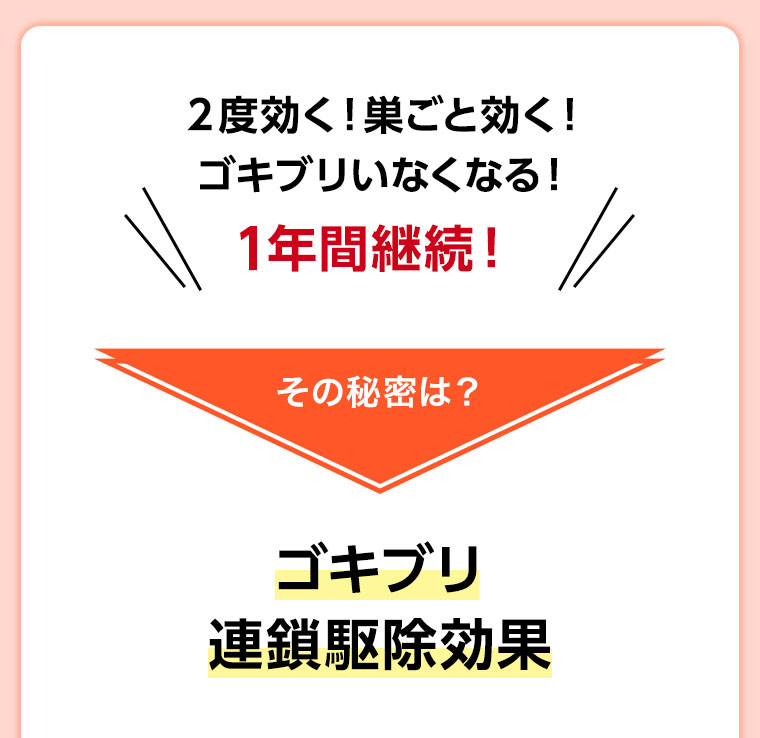 2度効く!巣ごと効く!ゴキブリいなくなる!1年間継続! その秘密は? ゴキブリ連鎖駆除効果。