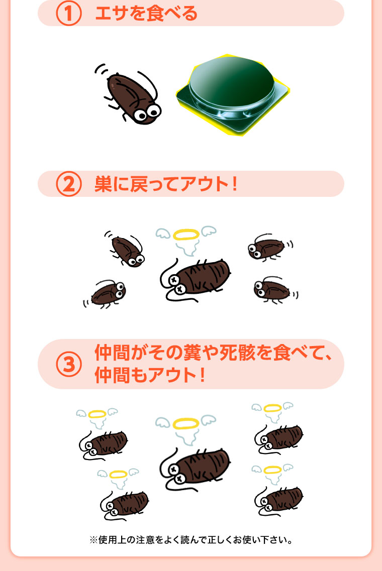 1 エサを食べる。2 巣に戻ってアウト! 3 仲間がその糞や死骸を食べて、仲間もアウト! 注釈(詳細は本画像をご確認ください)。