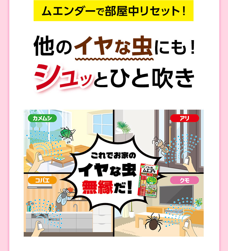 ムエンダーで部屋中リセット!他のイヤな虫にも!シュッとひと吹き。カメムシ、コバエ、アリ、クモ。これでお家のイヤな虫無縁だ!