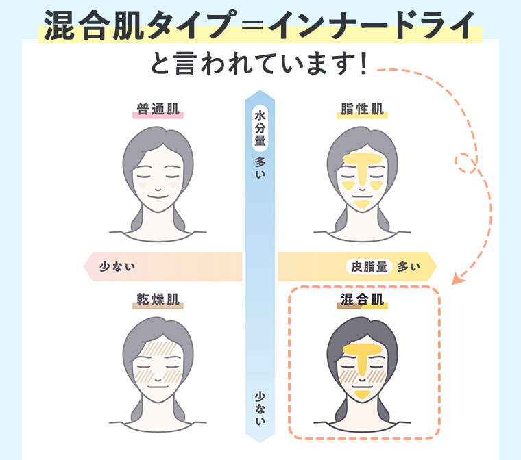 混合肌タイプ＝インナードライと言われています！図（本画像をご確認ください）。