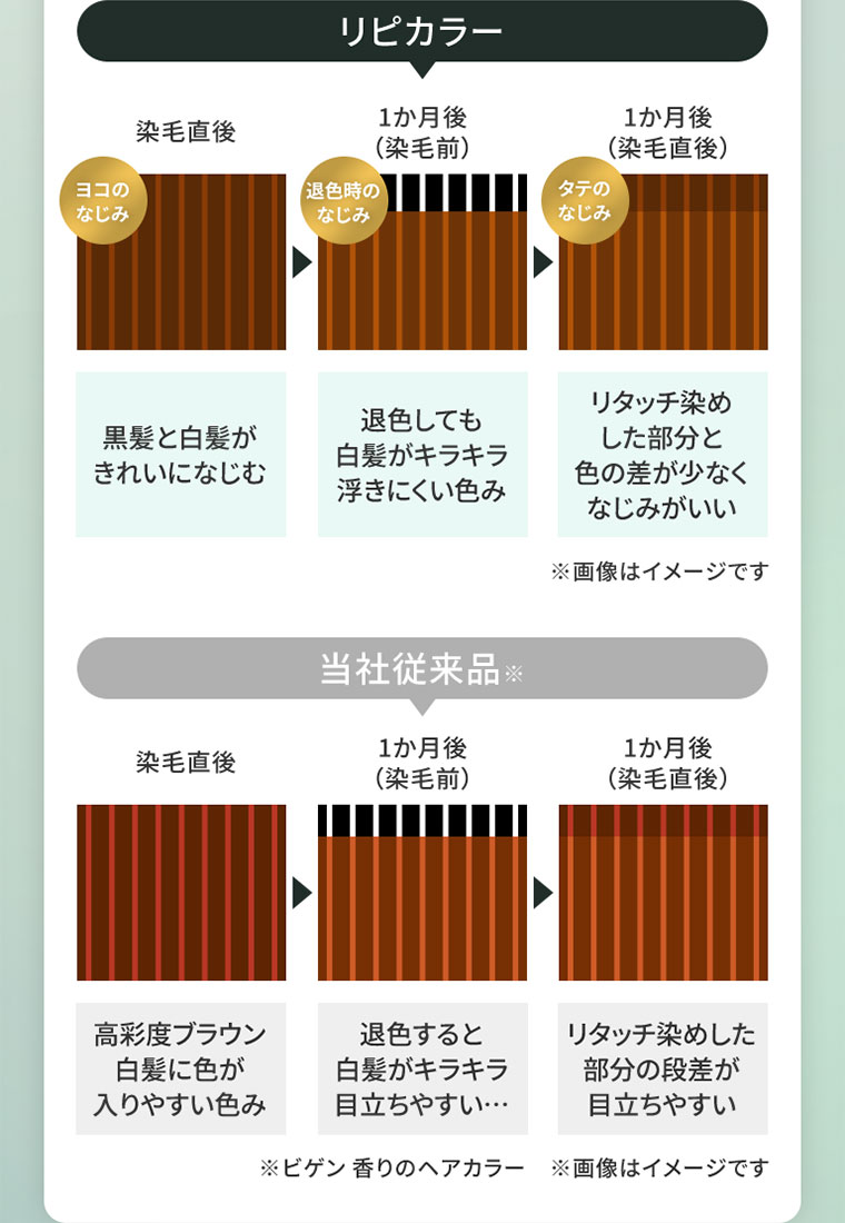 図（本画像をご確認ください）。