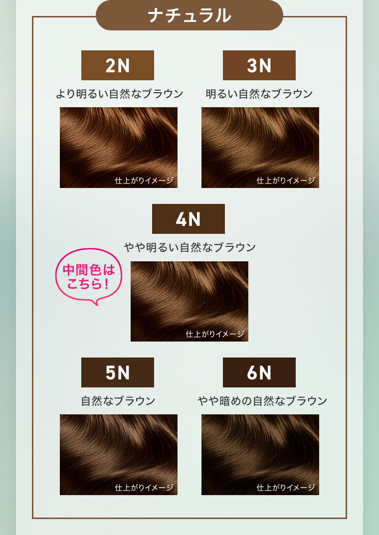 イメージ（本画像をご確認ください）。