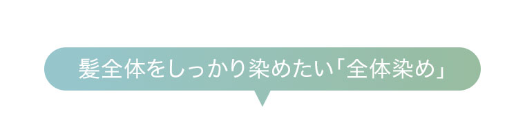 髪全体をしっかり染めたい「全体染め」。