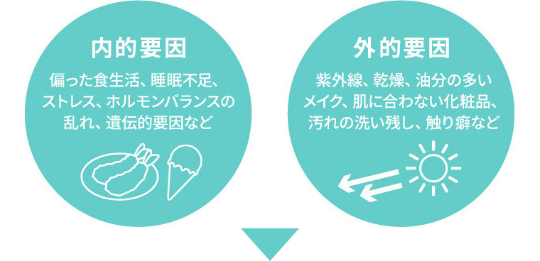内的要因　外的要因