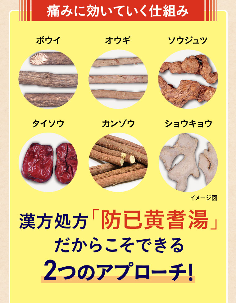 痛みに効いていく仕組み。イメージ（本画像をご確認ください）。漢方処方「防已黄耆湯」だからこそできる2つのアプローチ!