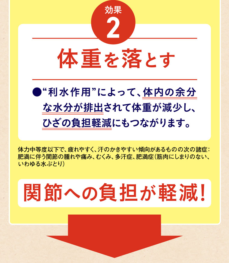 効果2。体重を落とす。利水作用によって、体内の余分な水分が排出されて体重が減少し、ひざの負担軽減にもつながります。注釈(詳細は本画像をご確認ください)。関節への負担が軽減!