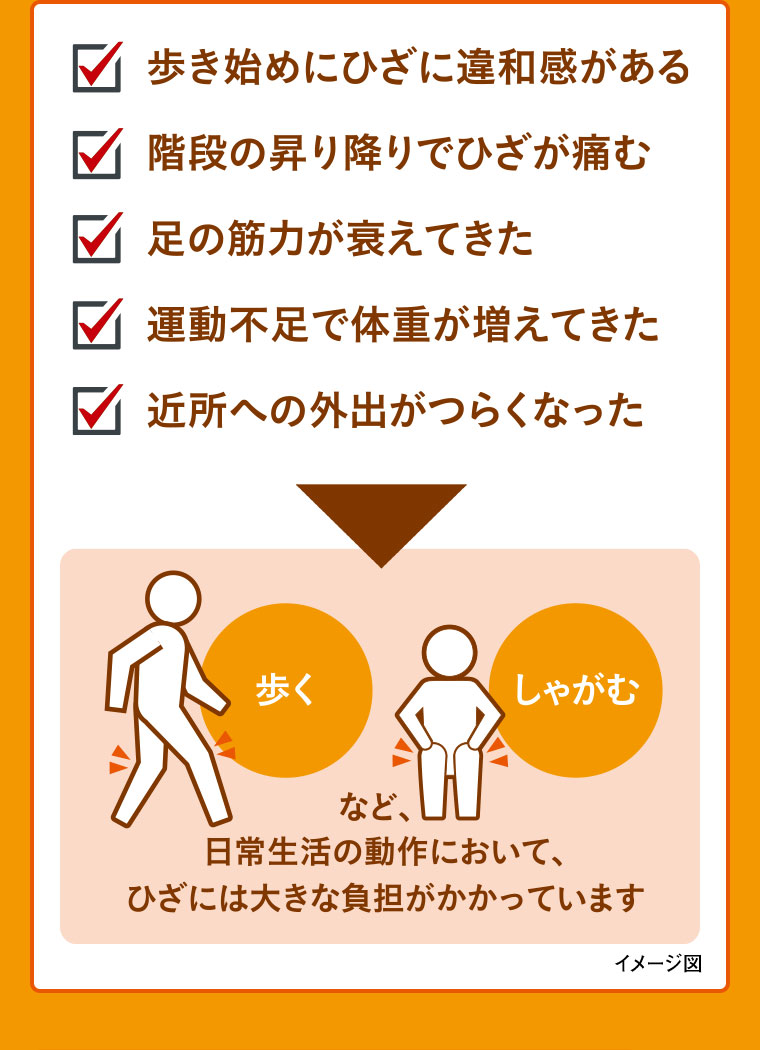 歩き始めにひざに違和感がある。階段の昇り降りでひざが痛む。足の筋力が衰えてきた。運動不足で体重が増えてきた。近所への外出がつらくなった。歩く、しゃがむなど、日常生活の動作において、ひざには大きな負担がかかっています。
