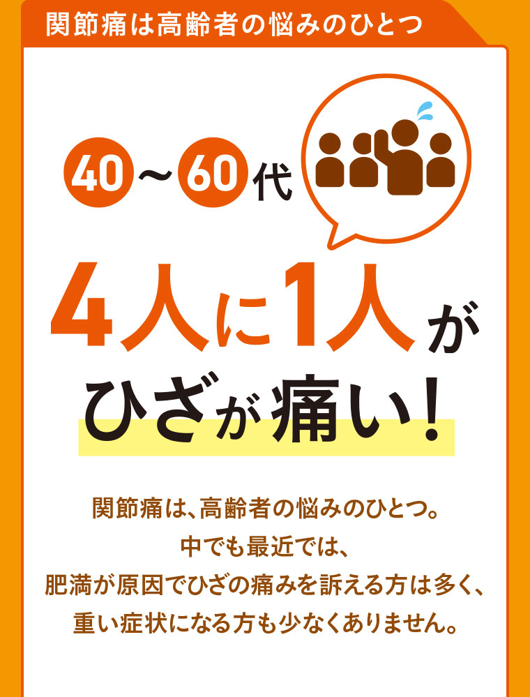 JOINT PAIN（関節の痛み） 最大500円引き】膝などの関節の痛みにアプローチ 太田胃酸 ロコ