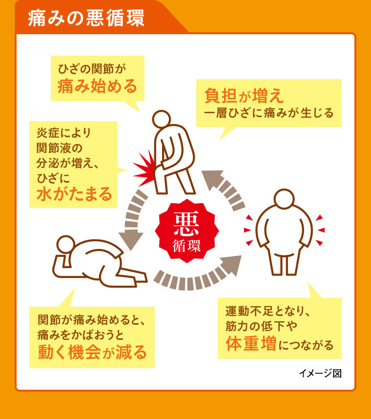 痛みの悪循環。イメージ（本画像をご確認ください）。