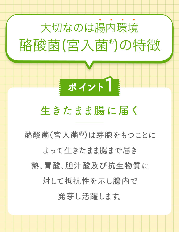 大切なのは腸内環境