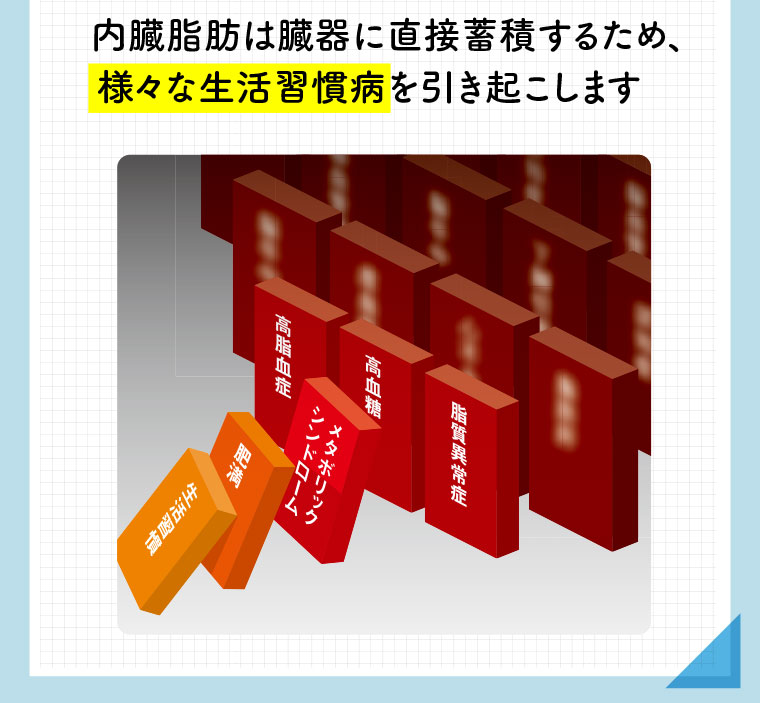 内臓脂肪は臓器に直接蓄積するため、様々な生活習慣病を引き起こします