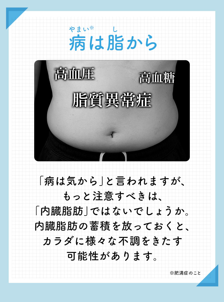 病は脂から 「病は気から」と言われますが、もっと注意すべきは、「内臓脂肪」ではないでしょうか。内臓脂肪の蓄積を放っておくと、カラダに様々な不調をきたす可能性があります。