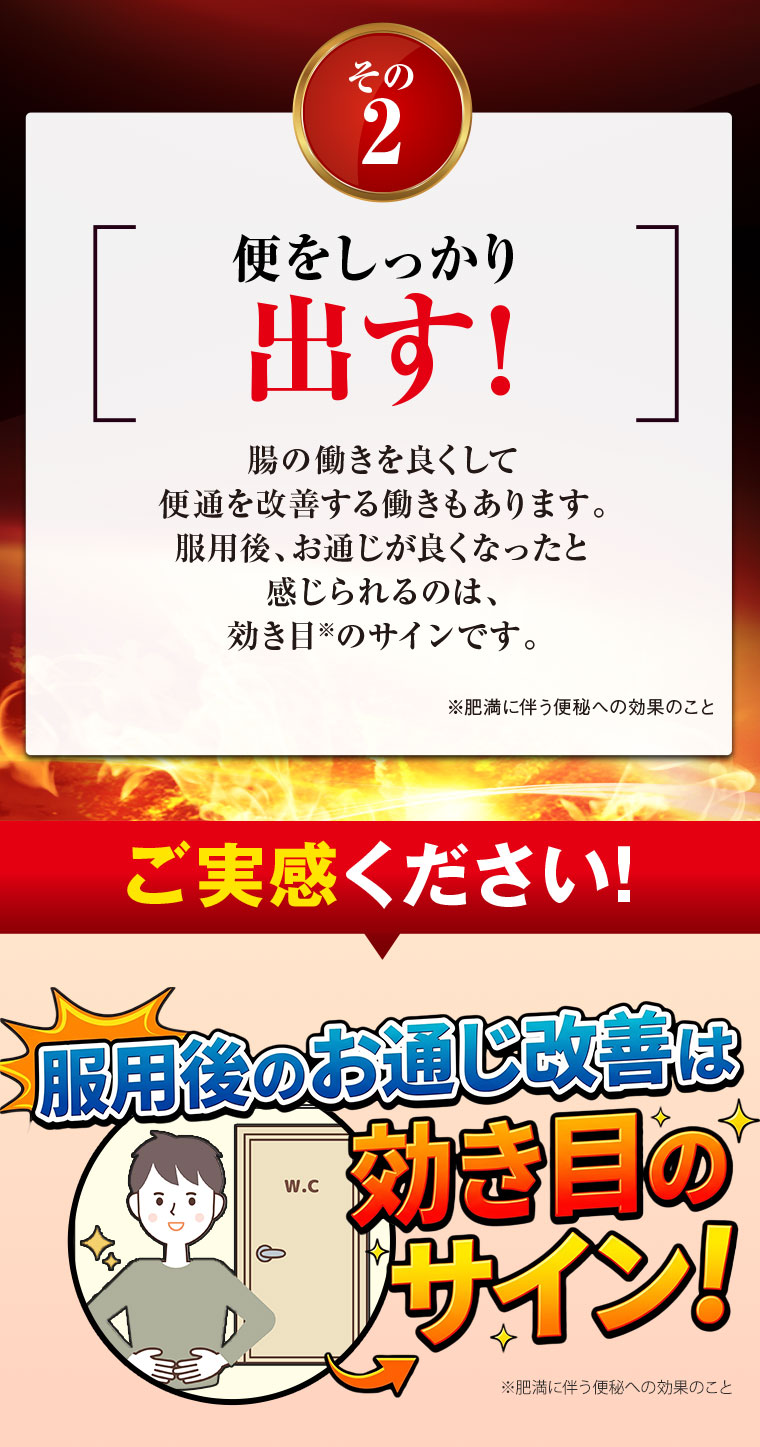 その2 便をしっかり出す！ご実感ください！ナイシトール 効き目のサイン