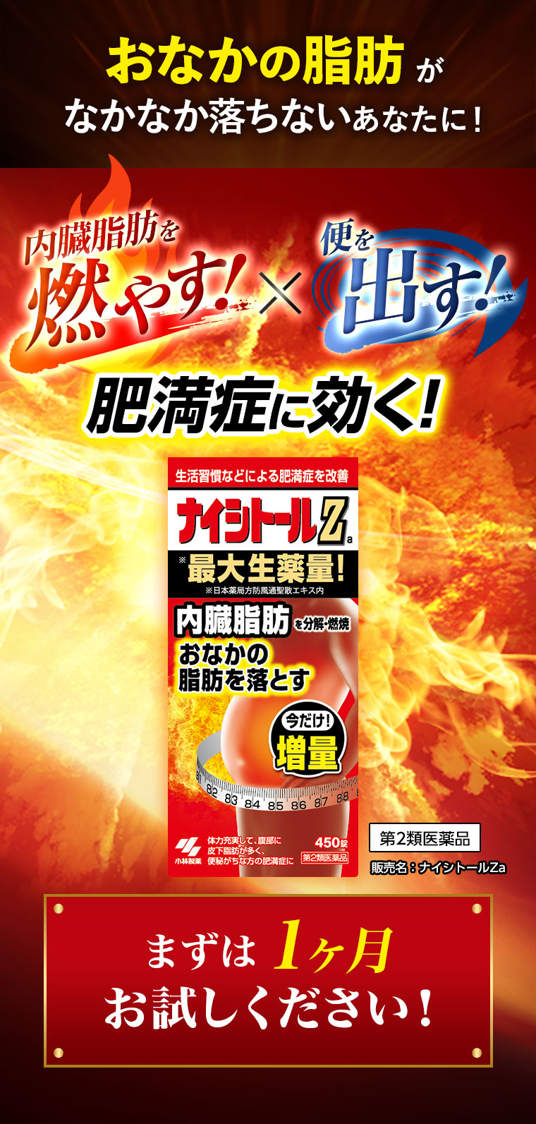 おなかの脂肪がなかなか落ちないあなたに！内臓脂肪を燃やす！便を出す！肥満症に効く！まずは1ヶ月お試しください！
