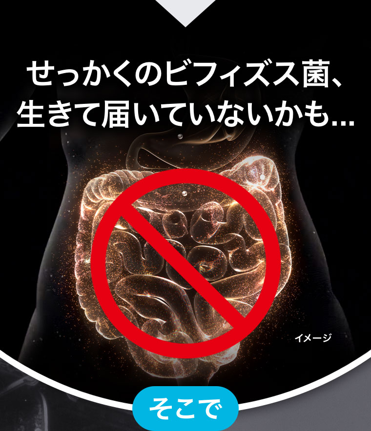 せっかくのビフィズス菌、生きて届いていないかも…。