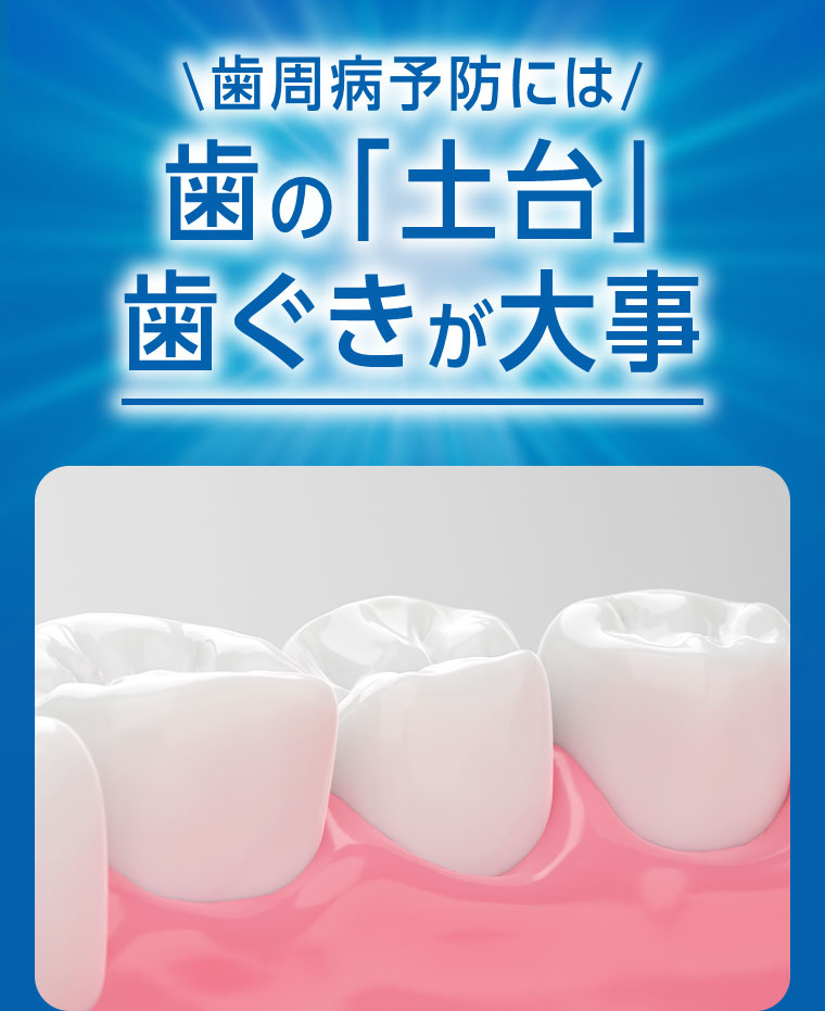 歯周病予防には歯の「土台」歯ぐきが大事