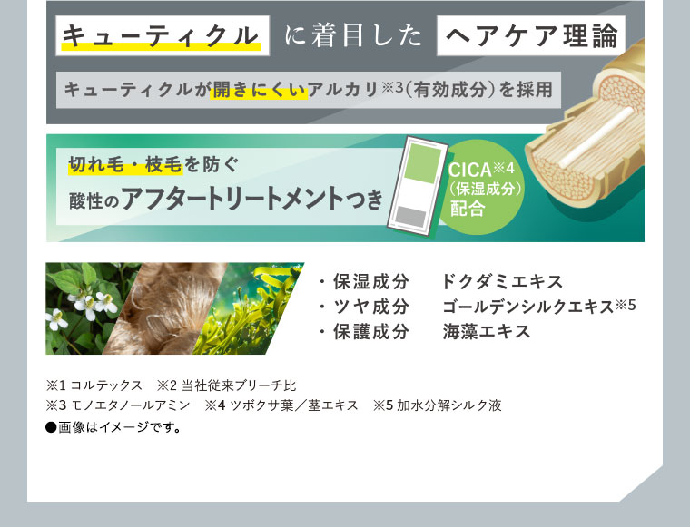 キューティクルに着目した ヘアケア理論キューティクルが開きにくいアルカリ※3(有効成分)を採用　切れ毛・枝毛を防ぐ酸性のアフタートリートメントつき　CICA(保湿成分)配合　・保湿成分ドクダミエキス・ツヤ成分ゴールデンシルクエキス・保護成分海藻エキス　※1コルテックス ※2当社従来ブリーチ比 ※3モノエタノールアミン ※4ツボクサ葉/茎エキス ※5加水分解シルク液　●画像はイメージです。