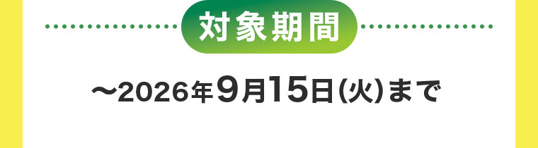 対象期間