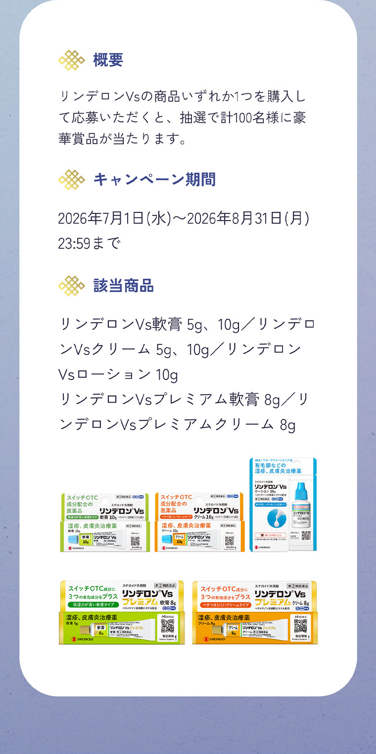 概要