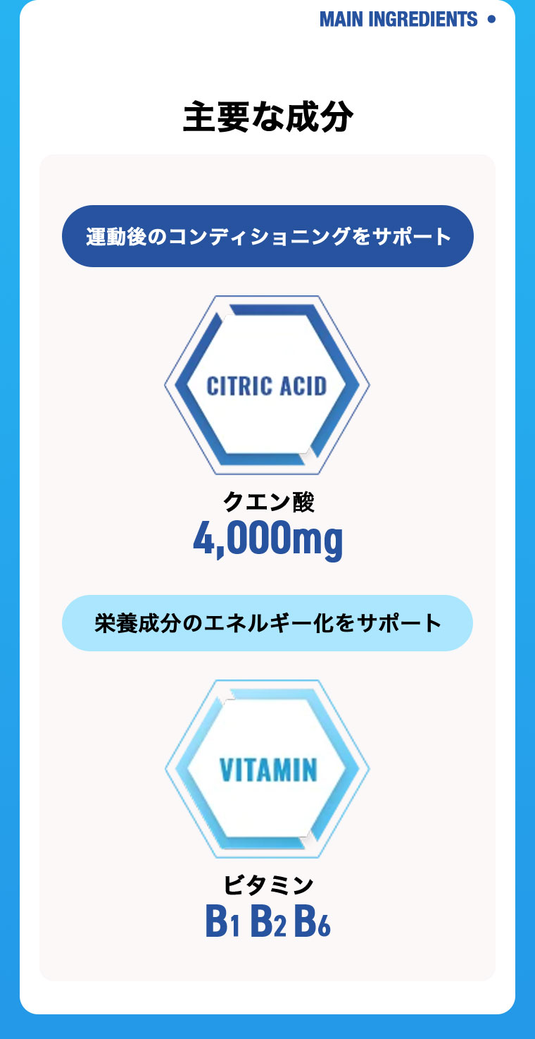 主要な成分