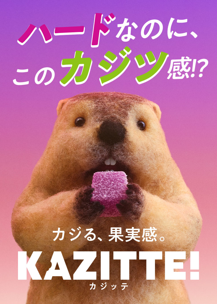 ハードなのに、このカジツ感!?