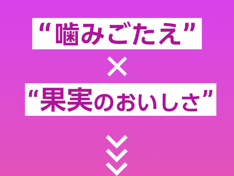 噛みごたえ×果実のおいしさ