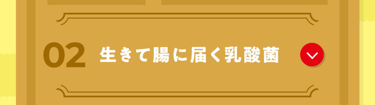 02 生きて腸に届く乳酸菌