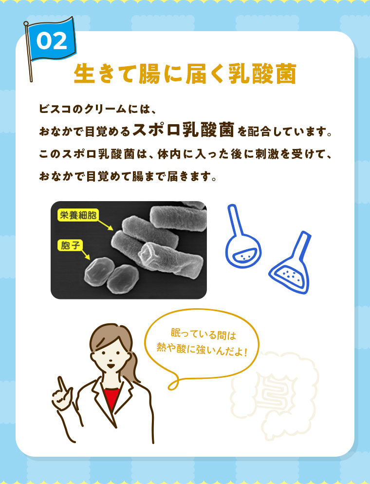 02 生きて腸に届く乳酸菌