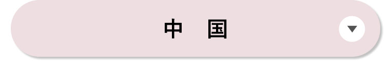 中国