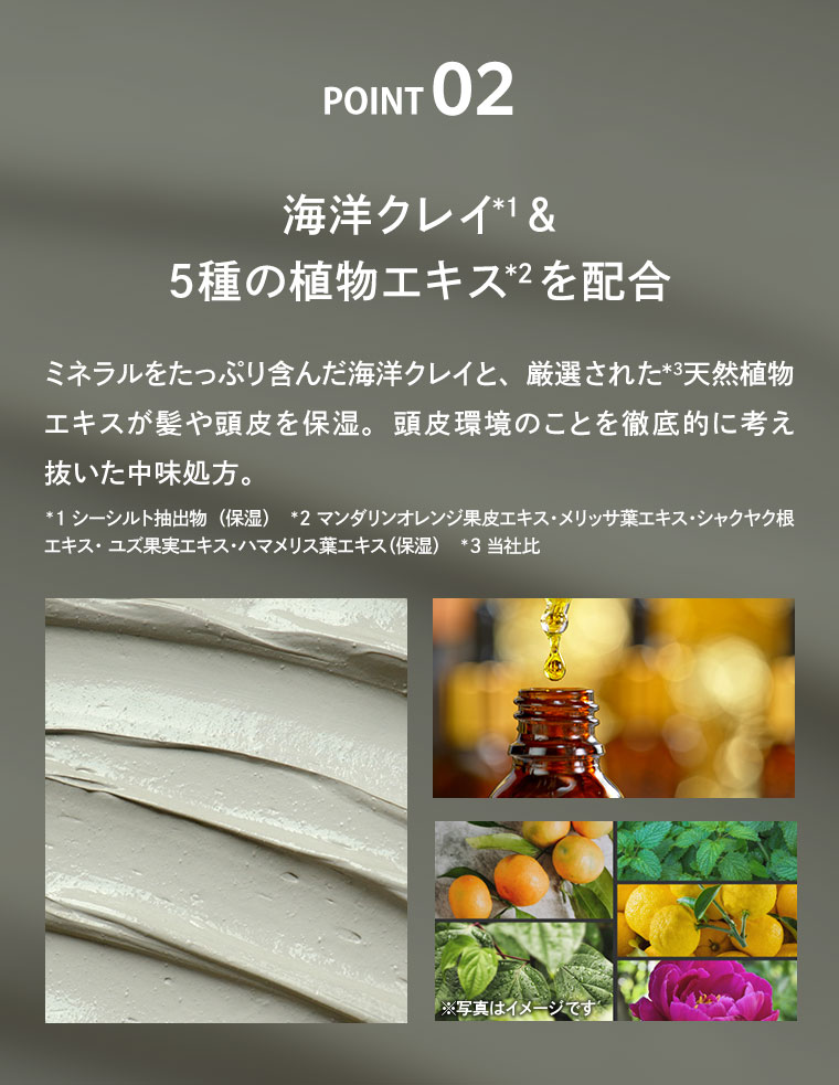 POINT 02 海洋クレイ&5種の植物エキスを配合