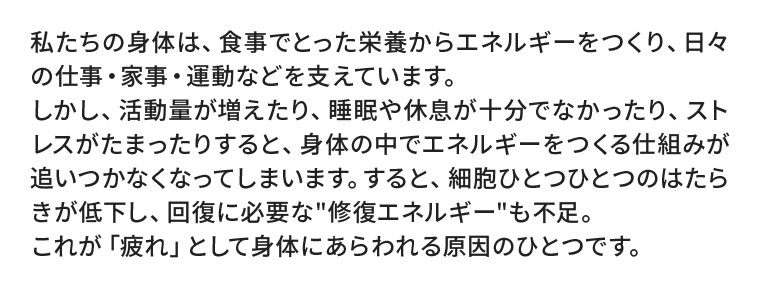 私たちの身体は、食事でとった栄養からエネルギーをつくり、日々の仕事・家事・運動などを支えています。