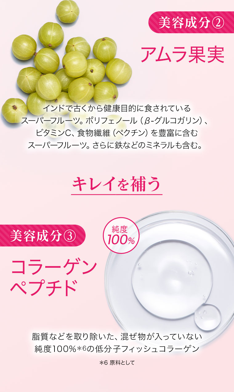 美容成分②アムラ果実