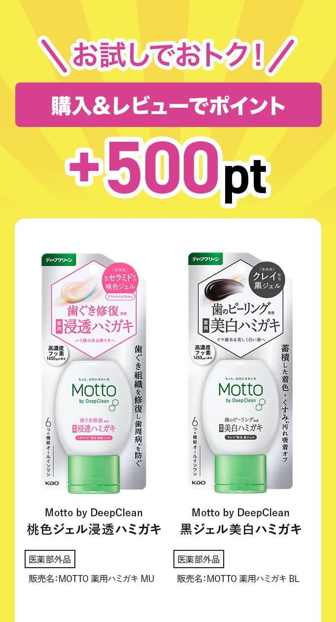 お試しでおトク！購入＆レビューでポイント +500pt