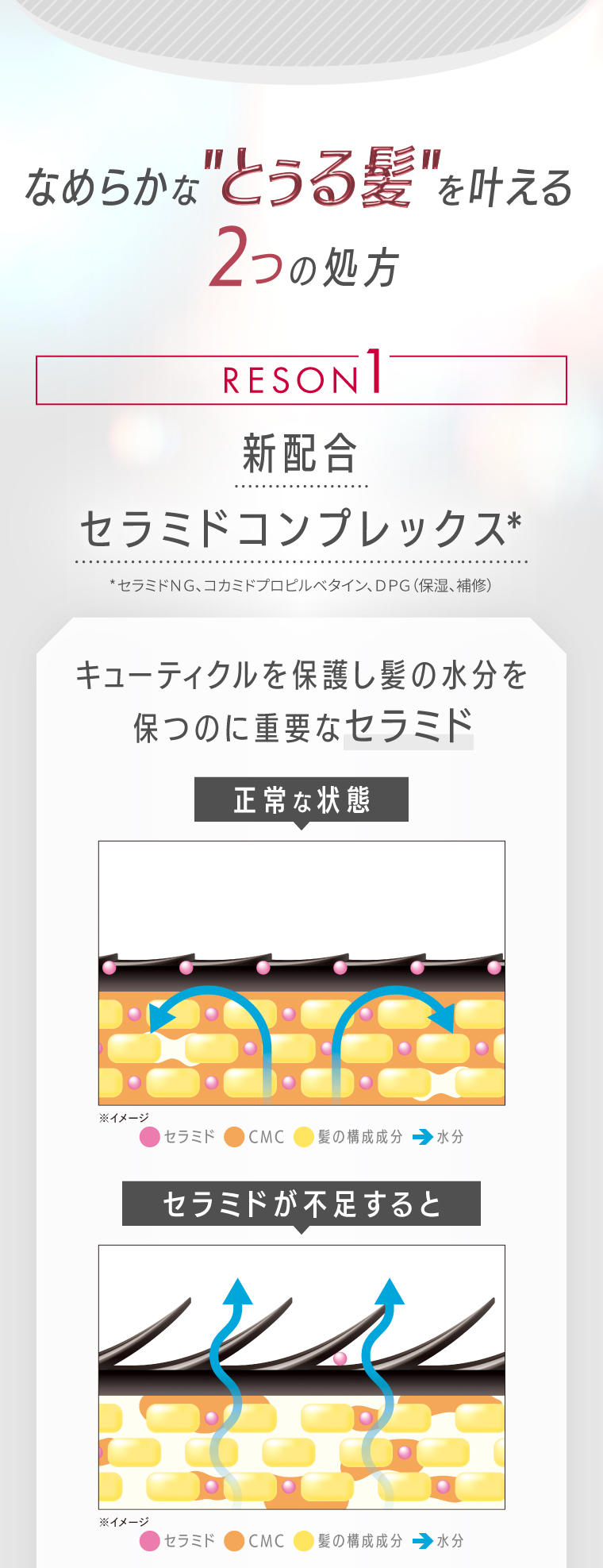 新配合セラミドコンプレックス処方