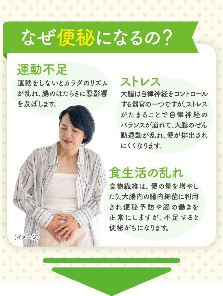 なぜ便秘になるの？