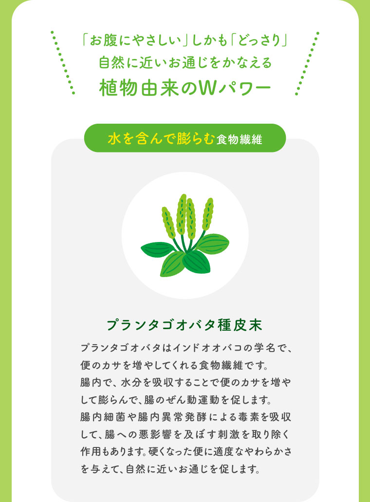 お腹にやさしいしかもどっさり
