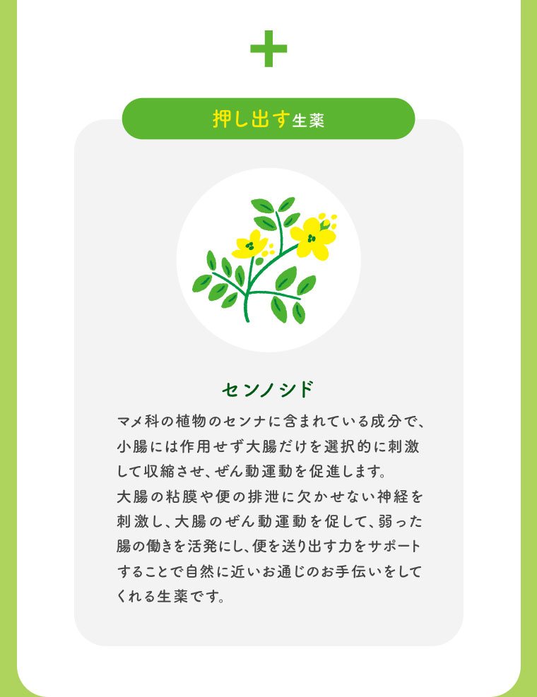 押し出す生薬