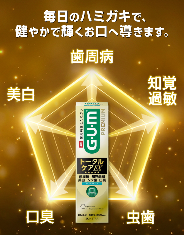 毎⽇のハミガキで、健やかで輝くお⼝へ導きます。