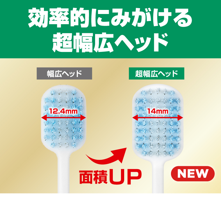 効率的にみがける超幅広ヘッド