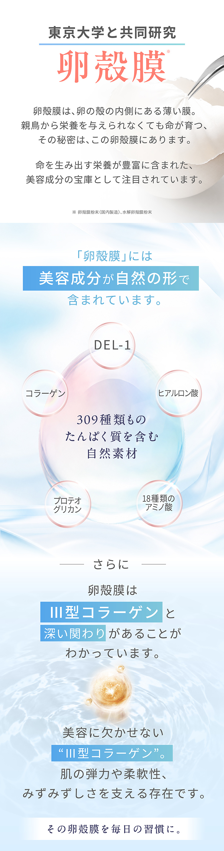 東京大学と共同研究する卵殻膜の美容成分、Ⅲ型コラーゲンとの関わり
