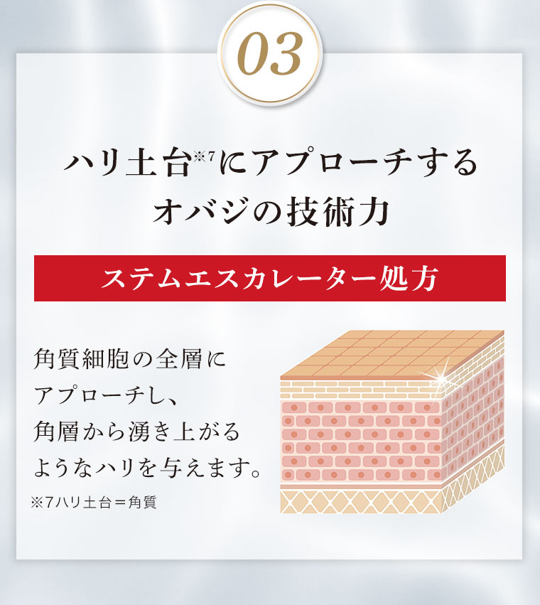 ハリ土台にアプローチするオバジの技術力