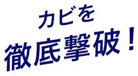 カビを徹底撃破！