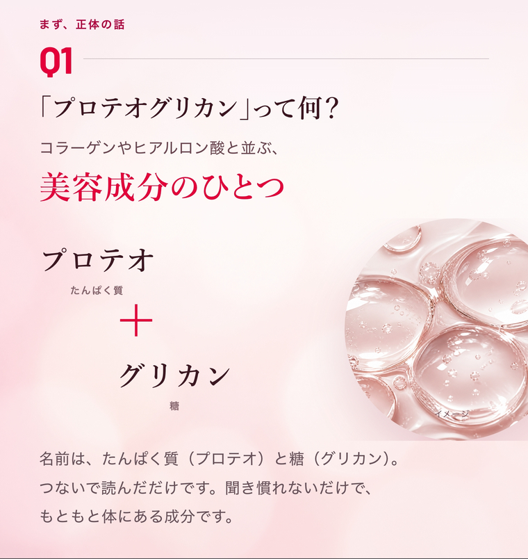 Q1「プロテオグリカン」って何？コラーゲンやヒアルロン酸と並ぶ美容成分のひとつ。名前はたんぱく質を表す「プロテオ」と糖を表す「グリカン」から。もともと体にある成分です。